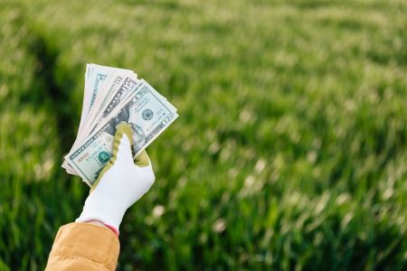 Organic Investments